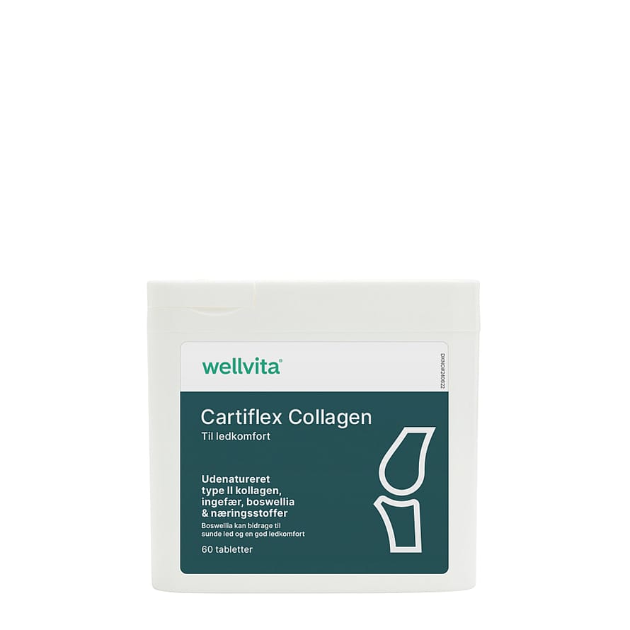 Wellvita Cartiflex Collagen 60 tabl