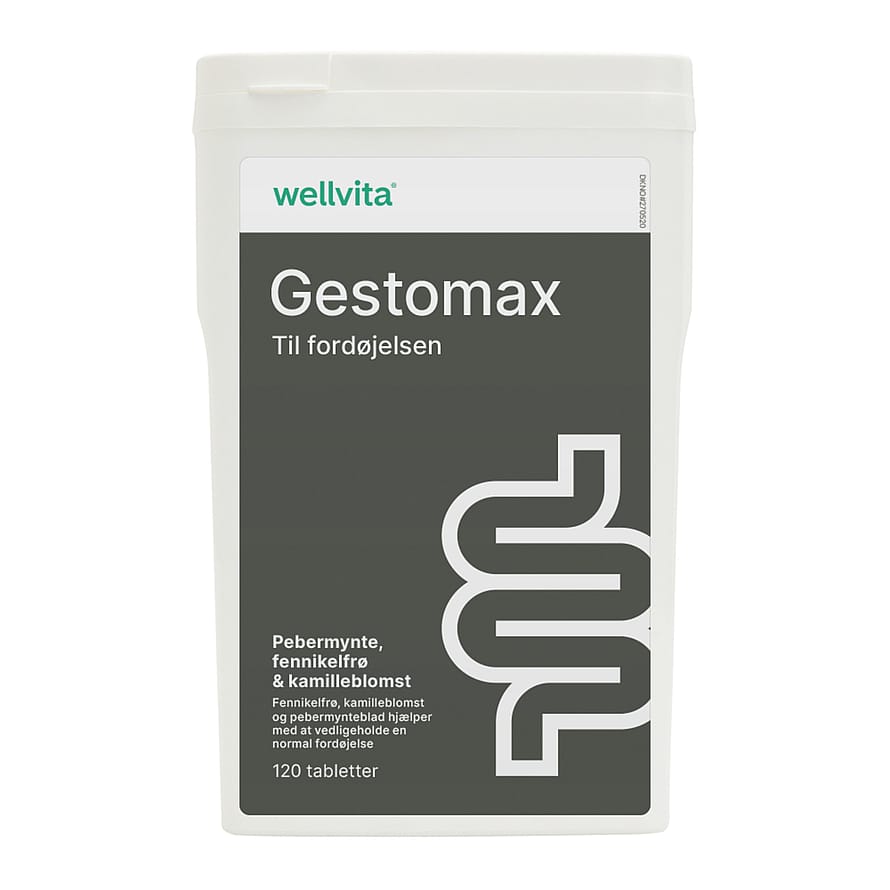 Wellvita Gestomax 120 tabl