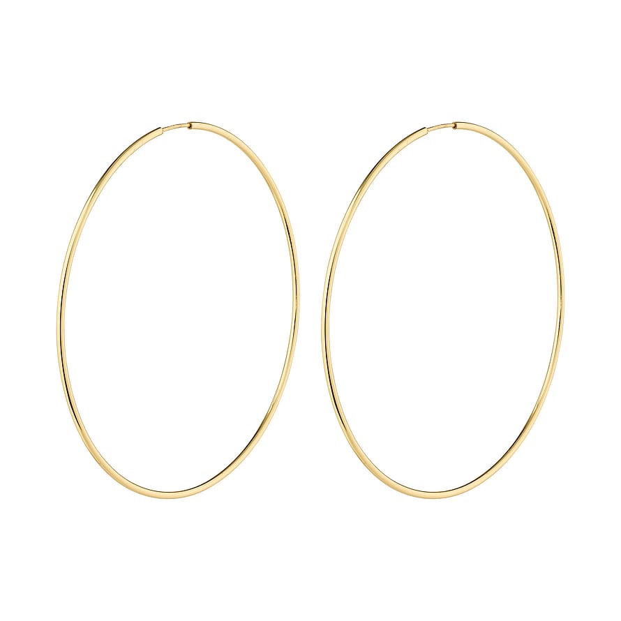 Pilgrim Øreringe Sanne Guldbelagt