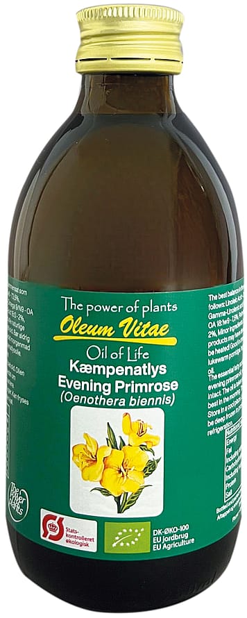 Oil of Life Kæmpenatlysolie Ø 250 ml