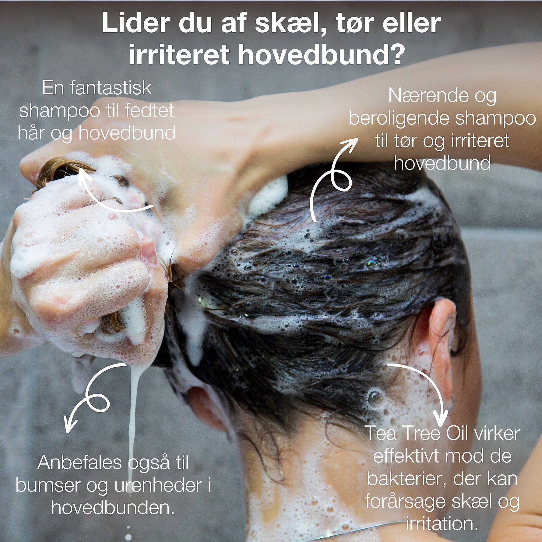 Køb Hair Clean Shampoo 200 ml fra Australian Bodycare - Matas
