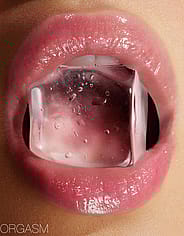 Miniaturebillede 4