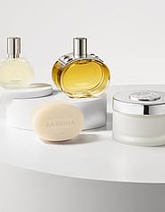 Miniatyrbild 3