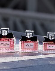Miniatyrbilde 13