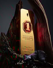 Miniaturebillede 3
