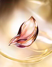 Miniatyrbild 5