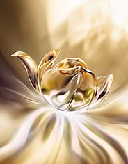 Miniatyrbild 9
