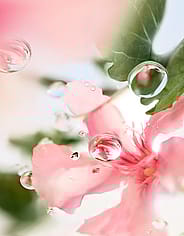 Miniaturebillede 5