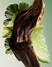Miniatyrbild 3