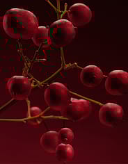 Miniatyrbild 7