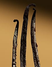 Miniatyrbild 7