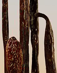 Miniatyrbild 3