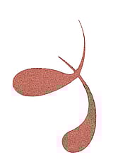 Miniaturebillede 8