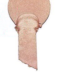 Miniaturebillede 6