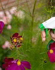 Miniaturebillede 6