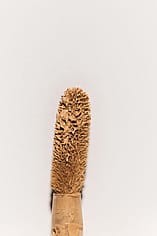 Miniaturebillede 6