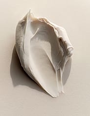 Miniatyrbild 2