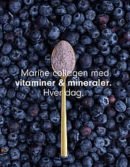 Miniaturebillede 8