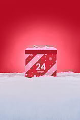 Miniaturebillede 4
