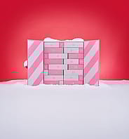 Miniaturebillede 8