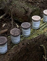 Miniaturebillede 4