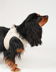 Miniaturebillede 1