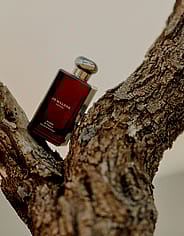 Miniaturebillede 6