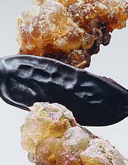 Miniaturebillede 7