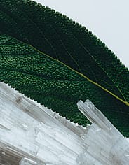 Miniaturebillede 4