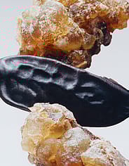 Miniaturebillede 4