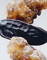 Miniaturebillede 4