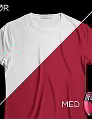 Miniaturebillede 3