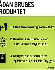 Miniatyrbilde 4
