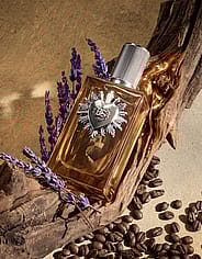 Miniatyrbild 3