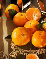 Miniaturebillede 5