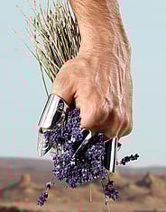 Pieni kuva 5