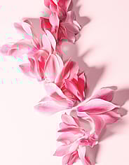Miniaturebillede 7