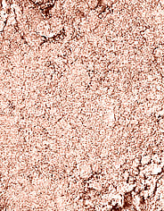 Miniaturebillede 4