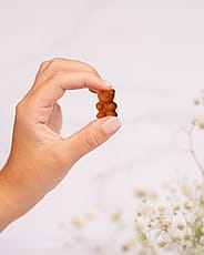 Miniaturebillede 5