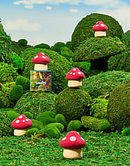 Miniaturebillede 2