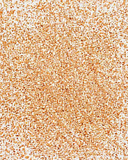 Miniaturebillede 4