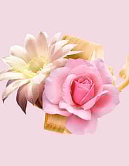 Miniatyrbild 4