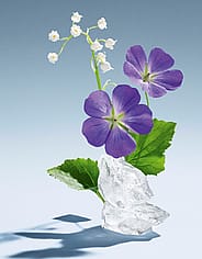 Miniatyrbild 3