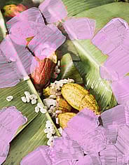 Miniaturebillede 4