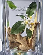 Pieni kuva 3