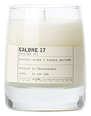 Pieni kuva 1