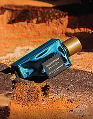 Miniaturebillede 3