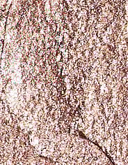 Miniaturebillede 8