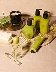 Miniatyrbild 4