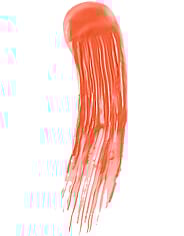 Pieni kuva 3